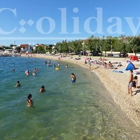 Croliday Nin Ivica Daire